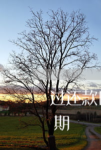 过还款日的几点算逾期(已过还款日算不算逾期)