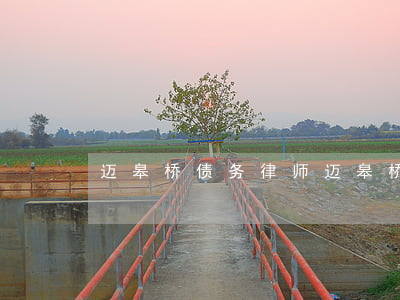迈皋桥债务律师(迈皋桥债务律师电话)