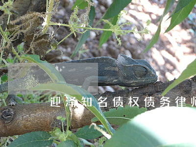 迎泽知名债权债务律师 迎泽律师事务所