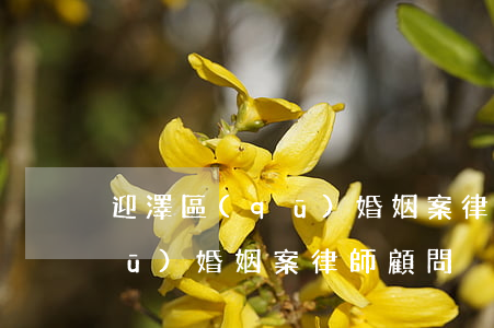 迎澤區(qū)婚姻案律師顧問(迎澤區(qū)婚姻案律師顧問)