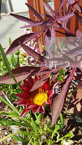 近2年有2次逾期能貸款(近2年有2次逾期能貸款)