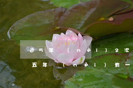 近5年內(nèi)2次信用卡逾期(信用卡五年內(nèi)有一次逾期)