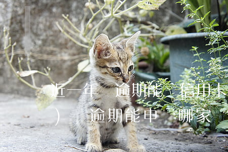近一年沒逾期能辦信用卡嗎(半年內(nèi)無逾期能申請哪家銀行信用卡)