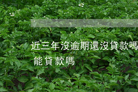 近三年沒逾期還沒貸款嗎(最近兩年沒有逾期能貸款嗎)