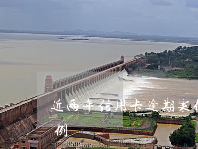 近两年信用卡逾期案例(近两年信用卡逾期案例)