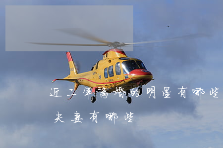 近二年离婚的明星有哪些(近几年离婚的明星夫妻有哪些?)