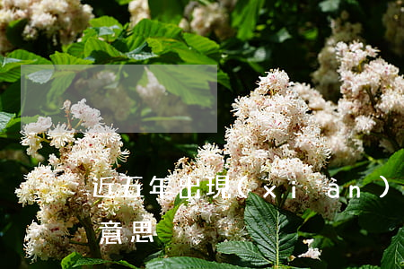 近五年出現(xiàn)15次逾期是什么意思