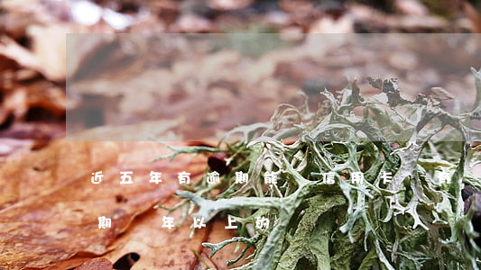 近五年有逾期能辦信用卡嗎(有沒有信用卡逾期兩年以上的)