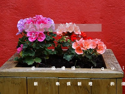 近來法律法規(guī)修訂(我國近兩年新頒布或新修訂的法律法規(guī)有哪些)
