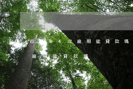 近兩年4次逾期能貸款嗎(連續(xù)三次逾期能貸款嗎)