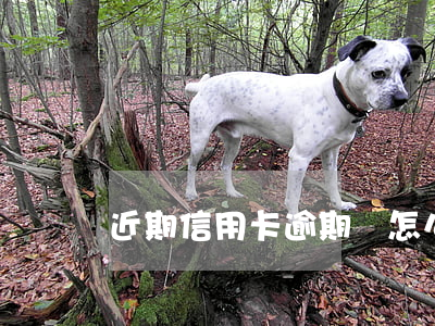 近期信用卡逾期會怎么樣(信用卡逾期可怕嗎)