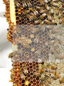 近期信用卡逾期過(guò)還可以貸款嗎-近期信用卡逾期過(guò)還可以貸款嗎知乎