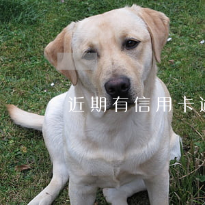 近期有信用卡逾期辦車貸(有逾期能辦車貸嗎)