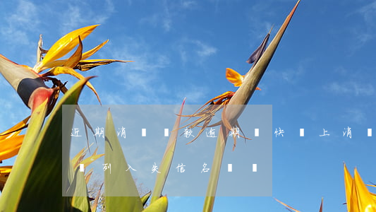 近期消費貸款逾期較快(馬上消費金融逾期了會列入失信名單嗎)