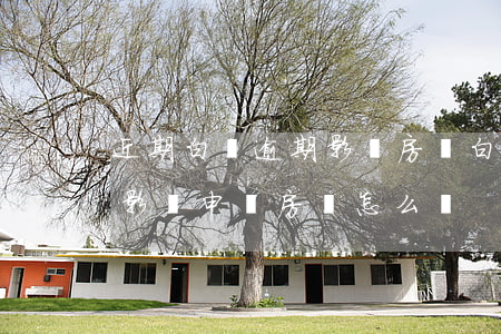 近期白條逾期影響房貸(白條不小心逾期4天影響申請房貸怎么辦)