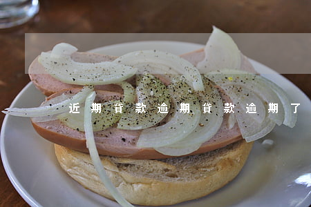 近期貸款逾期 貸款逾期了