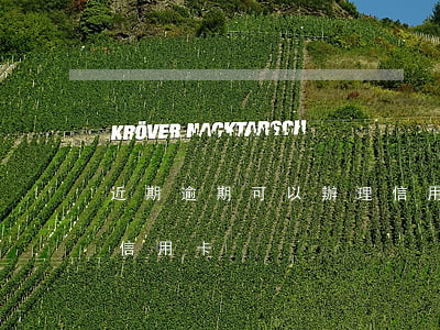 近期逾期可以辦理信用卡(有逾期能不能辦理信用卡)
