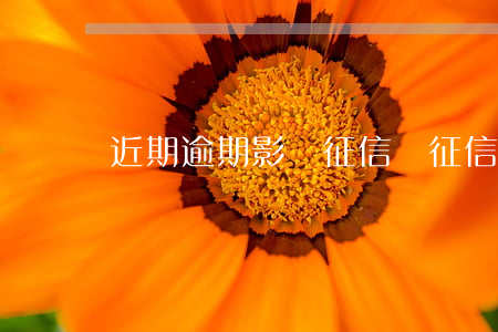 近期逾期影響征信嗎(征信逾期什么影響)