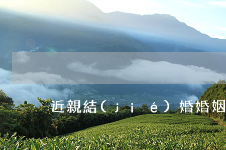 近親結(jié)婚婚姻是否有效