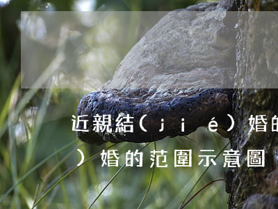 近親結(jié)婚的范圍(近親結(jié)婚的范圍示意圖)