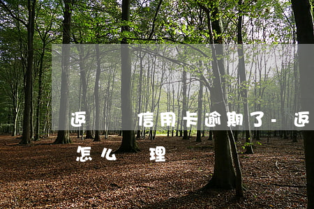 返現網信用卡逾期了-返現網信用卡逾期了怎么處理