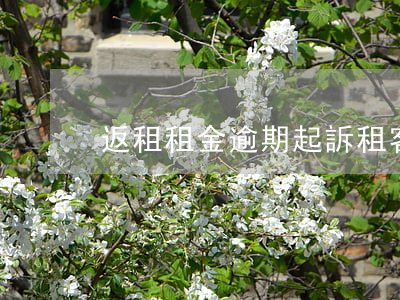 返租租金逾期起訴(租客起訴房東退租金)