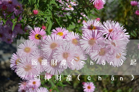 返還財產(chǎn)起訴狀范本(請求返還扣押財產(chǎn)申請書)