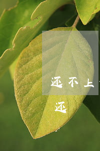 还不上信用卡的钱会怎样（信用卡还不起打工还）