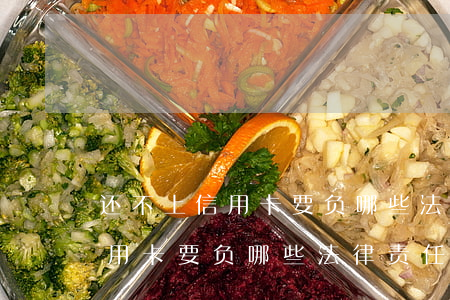 还不上信用卡要负哪些法律责任-还不上信用卡要负哪些法律责任呢