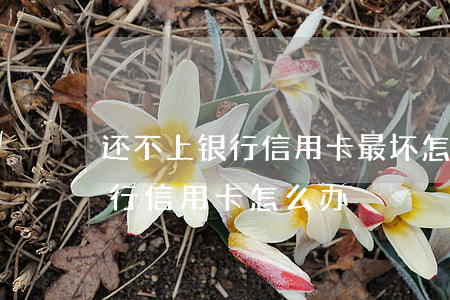 还不上银行信用卡最坏怎么处理-还不上银行信用卡怎么办