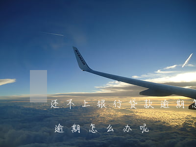 还不上银行贷款逾期怎么办(还不上银行贷款逾期怎么办呢)