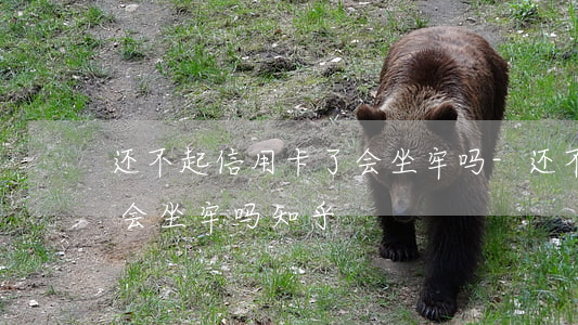 还不起信用卡了会坐牢吗-还不起信用卡了会坐牢吗知乎