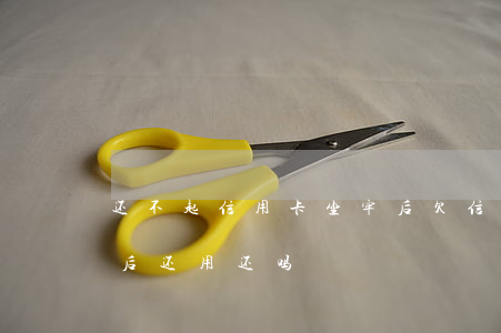 还不起信用卡坐牢后(欠信用卡无力偿还坐牢后还用还吗)