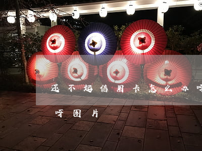 还不起信用卡怎么办呀(还不起信用卡怎么办呀图片)