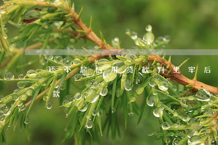 还不起信用贷款判坐牢后债务（还不起信用贷款）