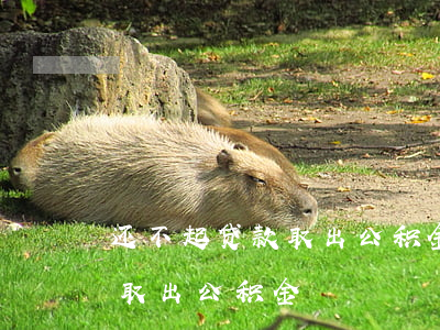 还不起贷款取出公积金有影响吗（还不起贷款取出公积金）