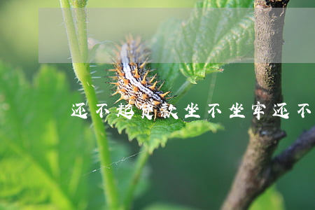 还不起贷款坐不坐牢 还不上贷款会坐牢吗
