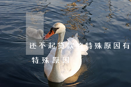 还不起贷款的特殊原因有哪些（还不起贷款的特殊原因）
