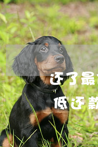 还了最低还款怎么还显示还款逾期-还了最低还款怎么还显示还款逾期了