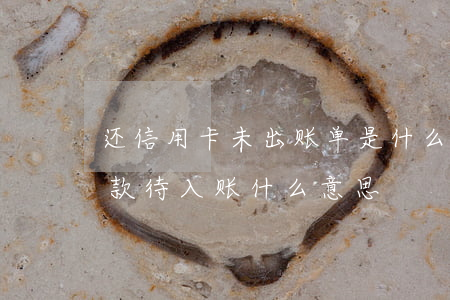 还信用卡未出账单是什么意思（信用卡逾期还款待入账什么意思）