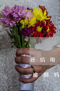 还信用卡过几天算逾期-还信用卡过几天算逾期吗