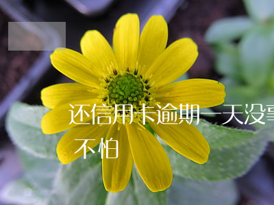 还信用卡逾期一天没事吧（信用卡逾期2天怕不怕）