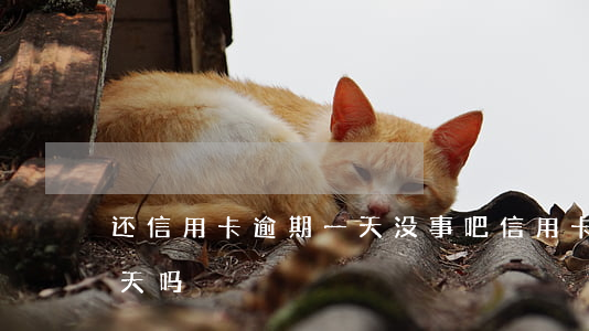 还信用卡逾期一天没事吧（信用卡逾期晚还一天吗）