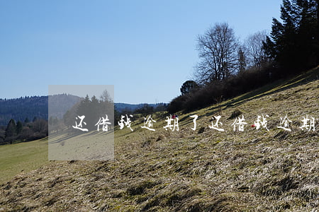 还借钱逾期了(还借钱逾期了)