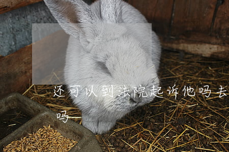 还可以到法院起诉他吗(去法院可以直接起诉吗)