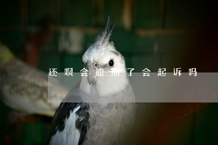 还呗会逾期了会起诉吗