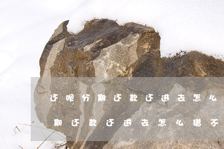 还呗分期还款还进去怎么借不出来-还呗分期还款还进去怎么借不出来了