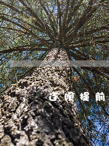 还呗提前还款利息不变去哪投诉-