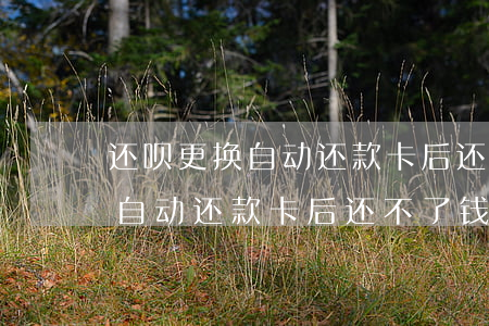 还呗更换自动还款卡后还不了钱-还呗更换自动还款卡后还不了钱怎么办