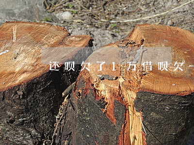 还呗欠了1万(借呗欠一万多该怎么办)